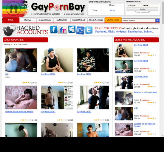 gay porn bay