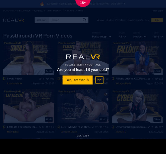 passthrough vr