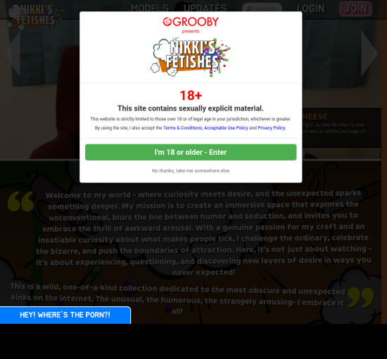 nikkis fetishes